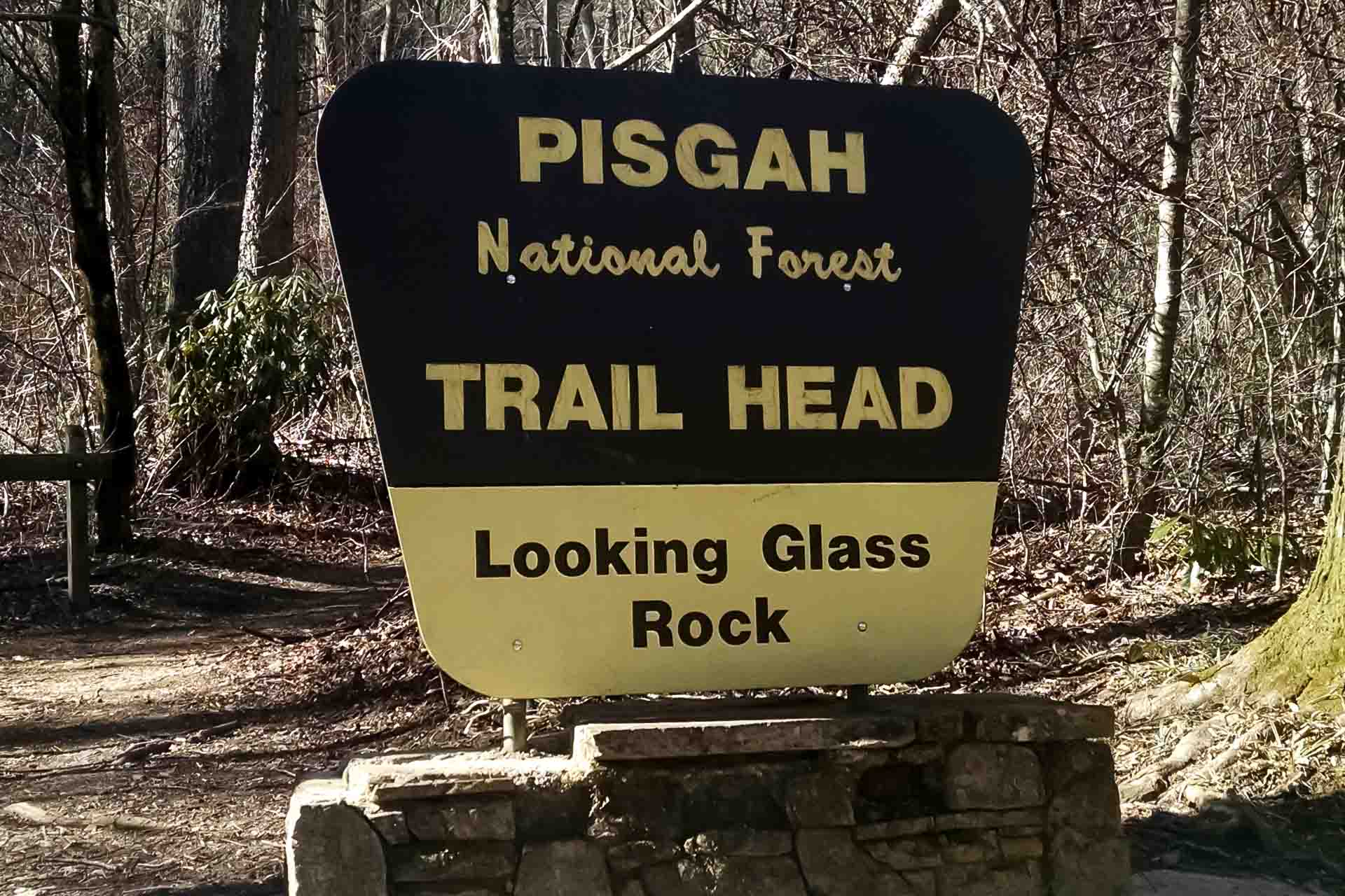 CASP Project | Pisgah National Forest | Asheville, NC